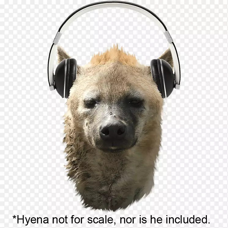 ������-��-������