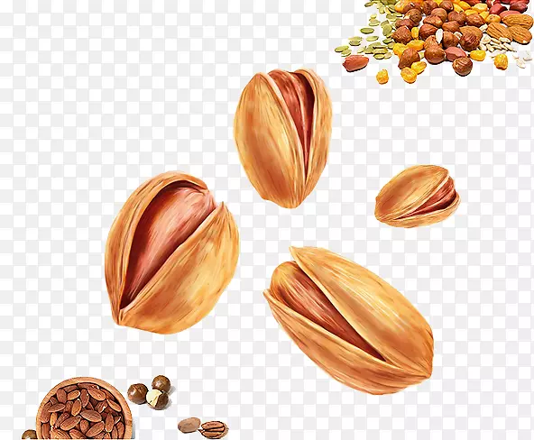 ����ʳƷ-����Ϳ��Ĺ�-������