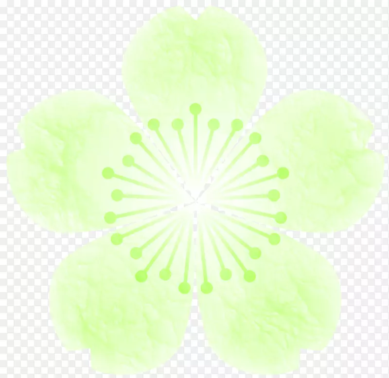 ��װ�ĸ���sakuramochi�����ֽ����.���ɲ���-������