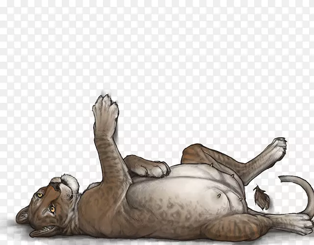 ʨ�Ӵ�è½������Ұ������-ʨ��-������