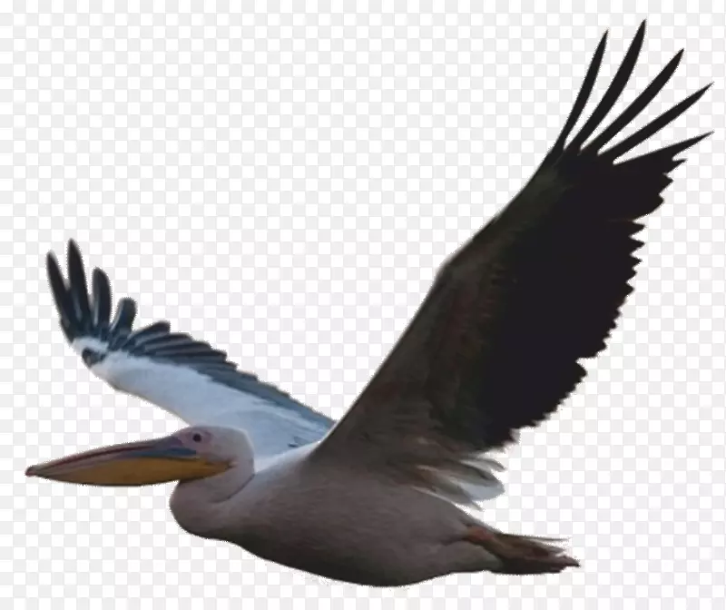 �����ʼ���վ�йܷ�������-�����ʼ�-������