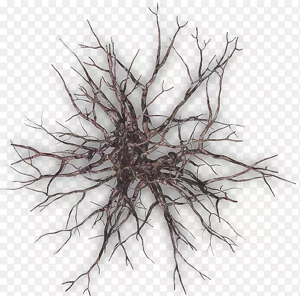 С֦��֦-������