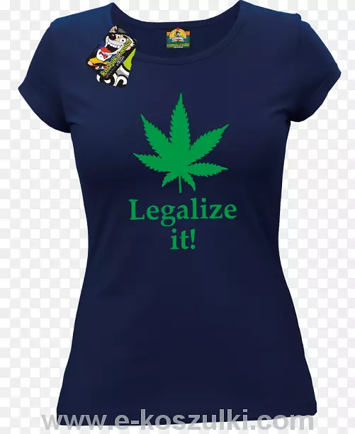 t��������װ��-t��-������