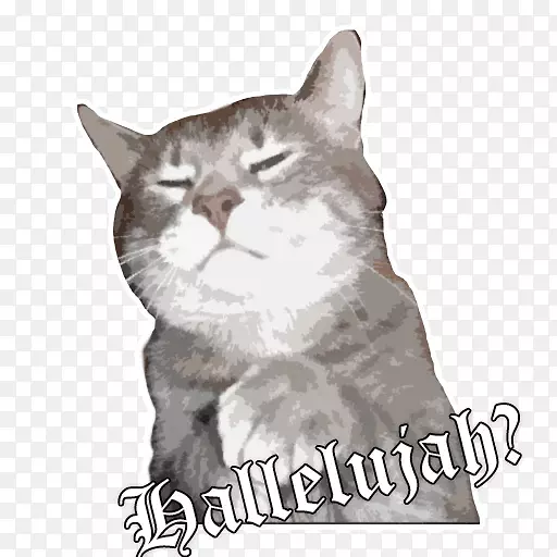 è��Ȥ�Ķ�����Ĭʳ��-è-������