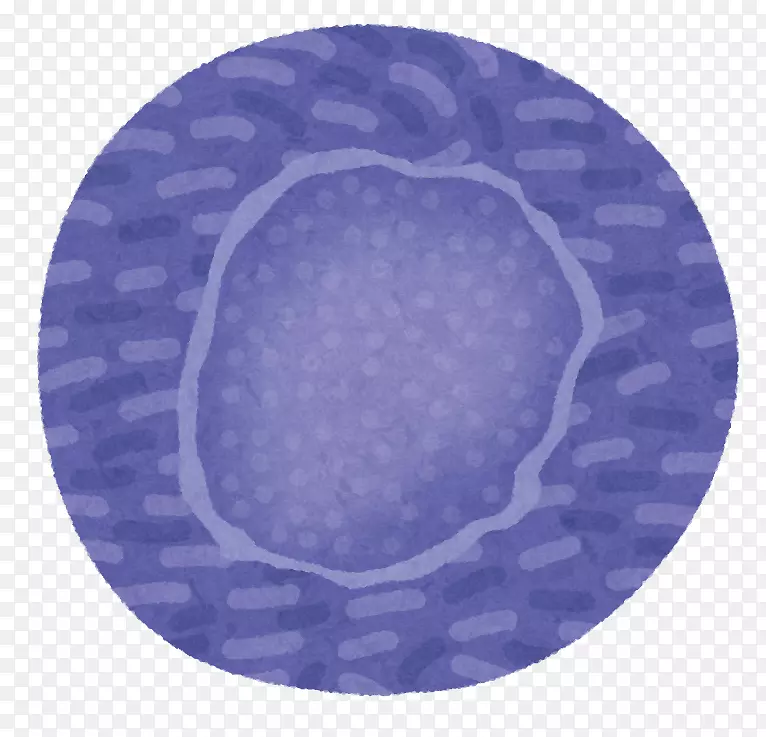 ԲȦ-������