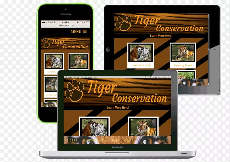 Ʒ��չʾ����ý��-������