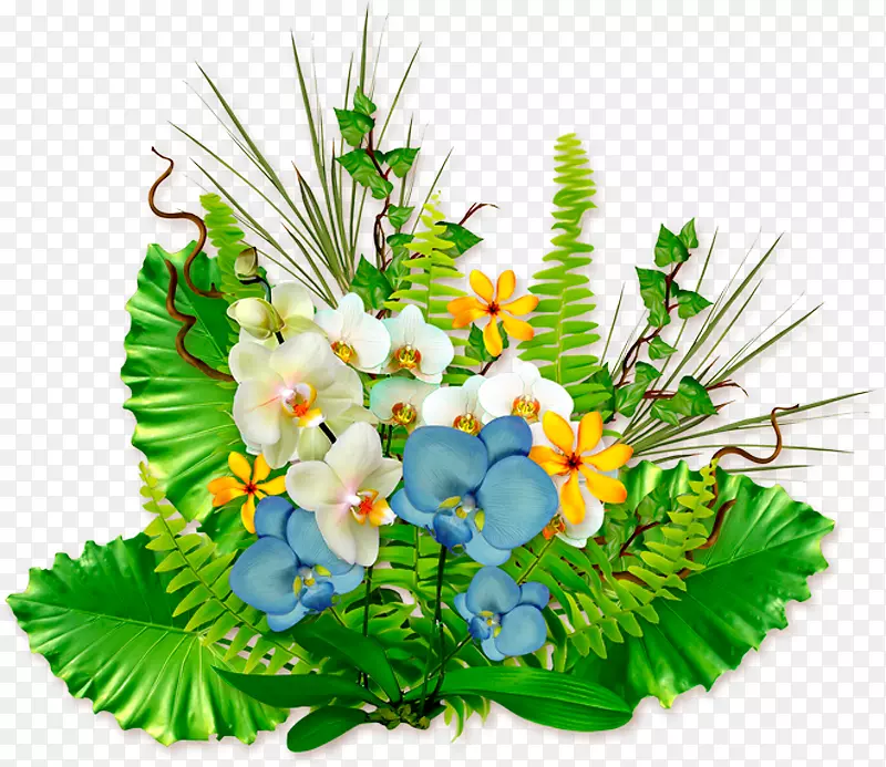 �����������ֲ����������-������