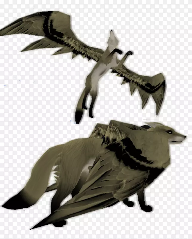 ������������ʹ�����ë-����-������