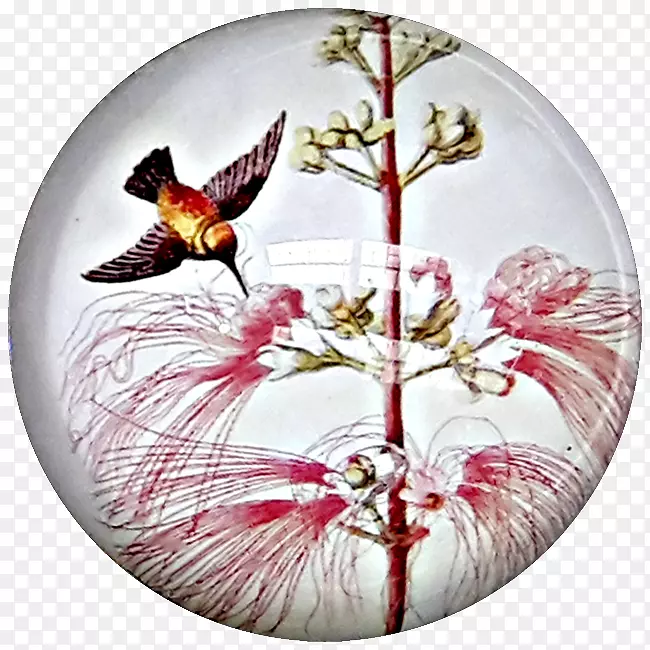 �򾲼�����-������