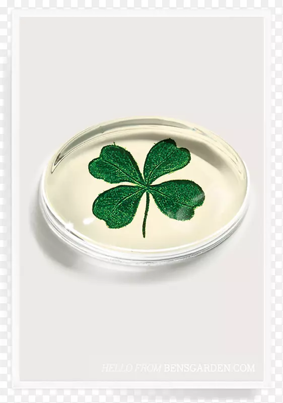 ���Ļ�԰��������ֽ����ֽ������-����-������