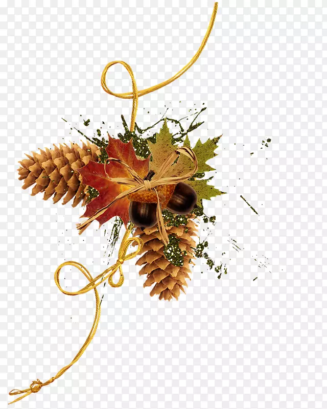 ֽ�����ʼ��＾�ż�����-�¿�-������