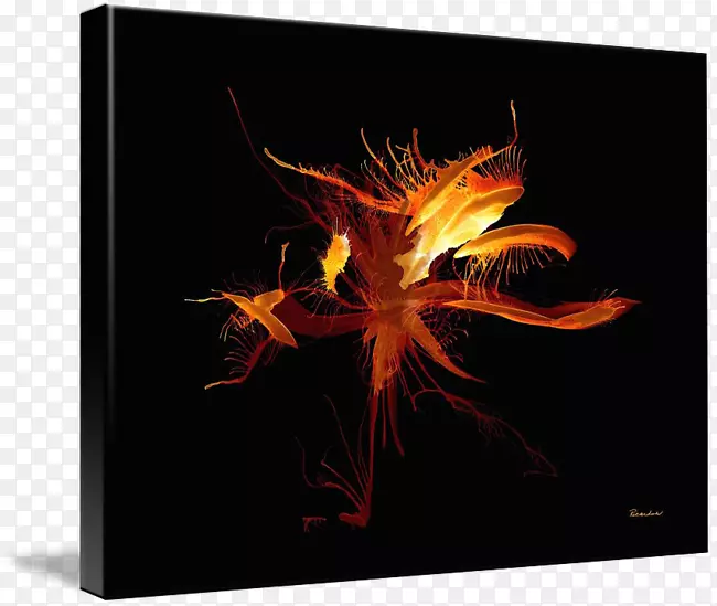 ̨ʽ��ֽ����-������