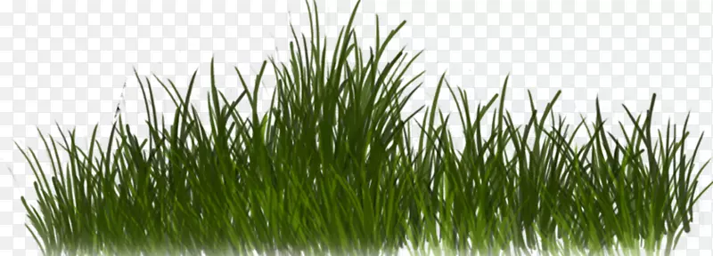 �������������ؼ�����-������