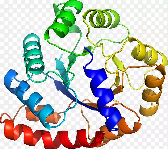 ���������л����߼�������-������