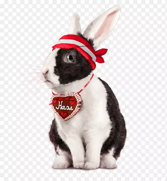 ���ø�����������-����-������