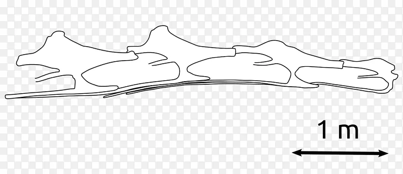 ������ɫ��������.���-������