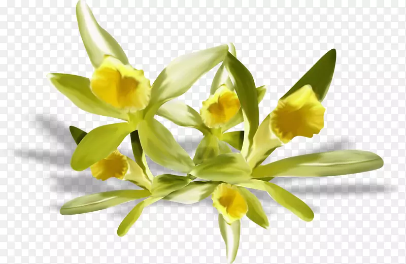 �������Ĳ���LiveInternet������-��-������