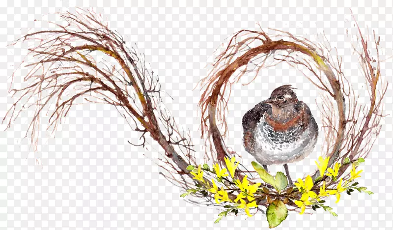 1��12��Amazon.com����-��֧ˮ�ʻ�-������