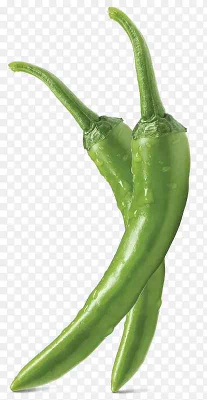 ��������������������ζ-������