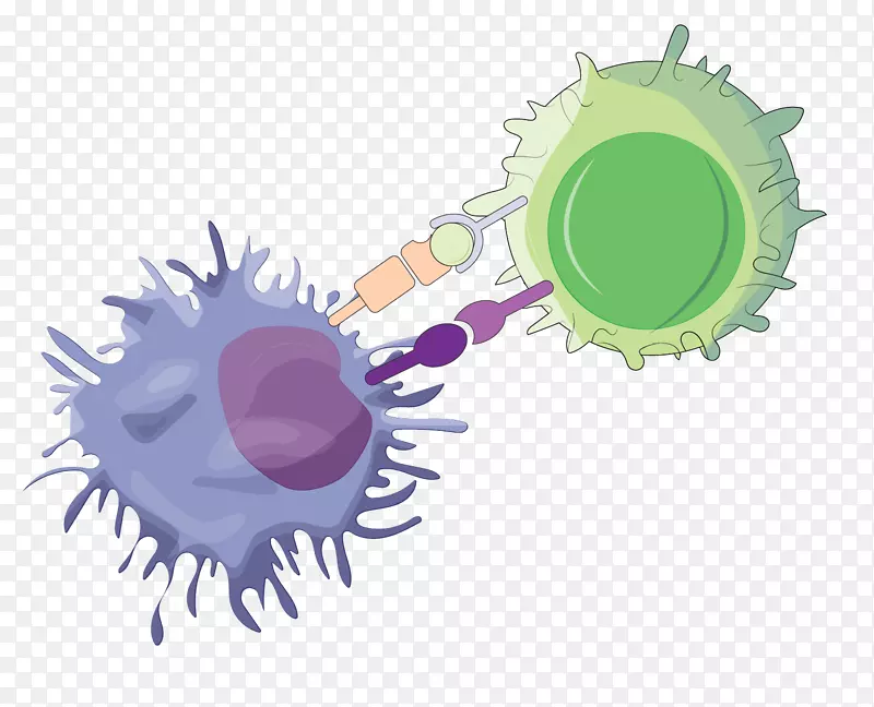 ŷ�޸�������о�Э�ᷭ���о�-��ѧ-������