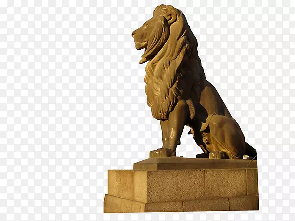 ������ʨ��������������Ⱥ-����������ƴ���-������