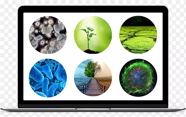 ������ý�弼��-������