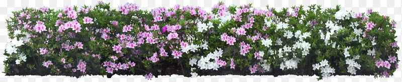 ��԰ʽ����-������