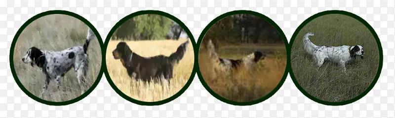 Ь�ද��-����-������