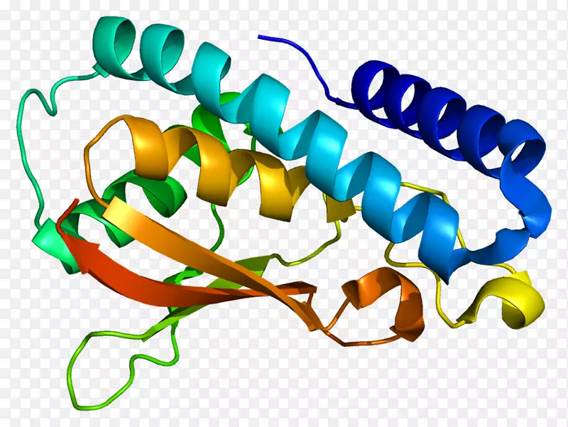 �����鱦���л����������-������