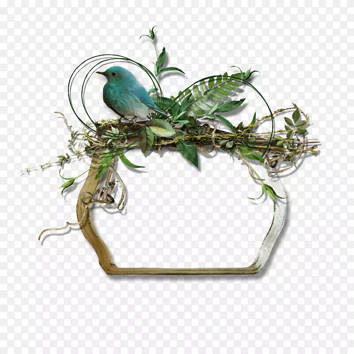 �ռ�LiveInternet����ͼƬ������ʼ�-����ҳ�渴��-������