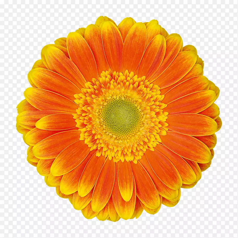 �����л��ջ�-������