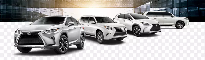 ��̥�˶�����;�����ͽγ���������-������