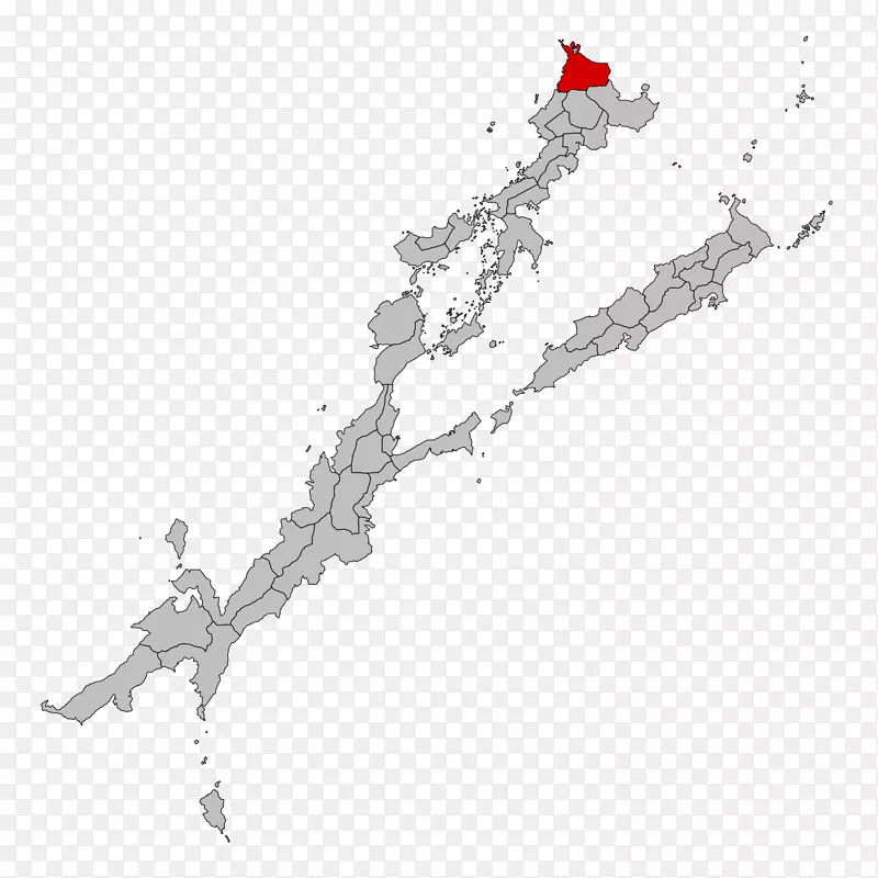 �ߵ��֧��-������