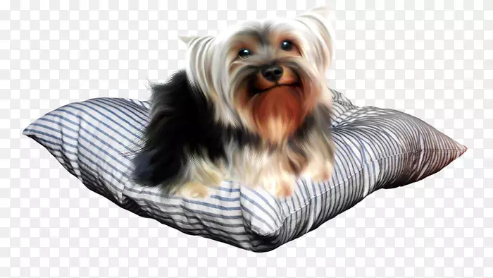 Լ�˿���Ȯ�Ĵ�����˿ë��Ȯ��Ȯ-С��-������