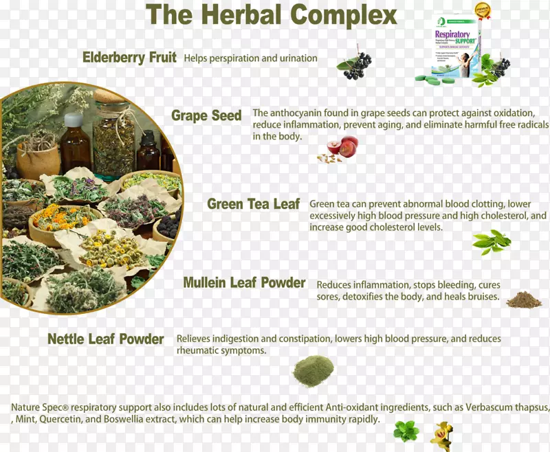 �����κ���ϵͳ�Һ�ɷ�-����-������