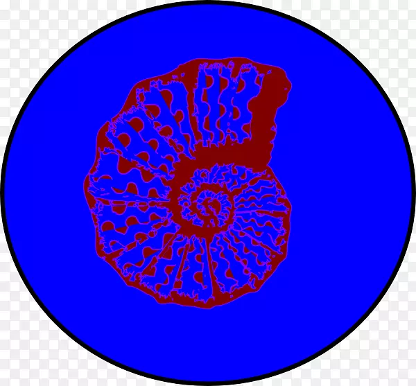 Բ�����������-������