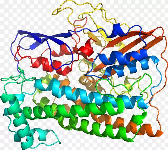 ���������л����߼�������-������