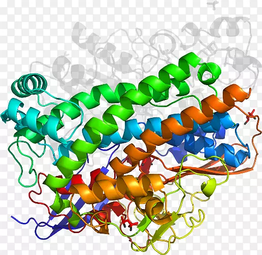 ���������л����߼�������-������