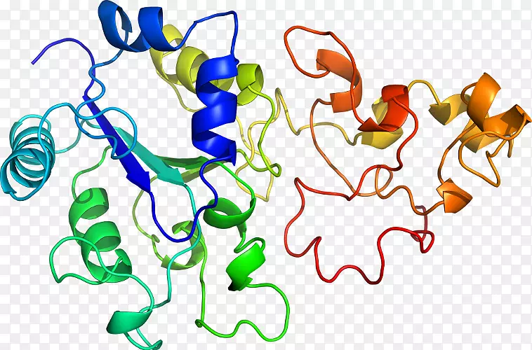 �ߵ������������-������