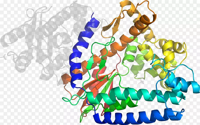 �鱦����ϵ�м�����.�鱦-������