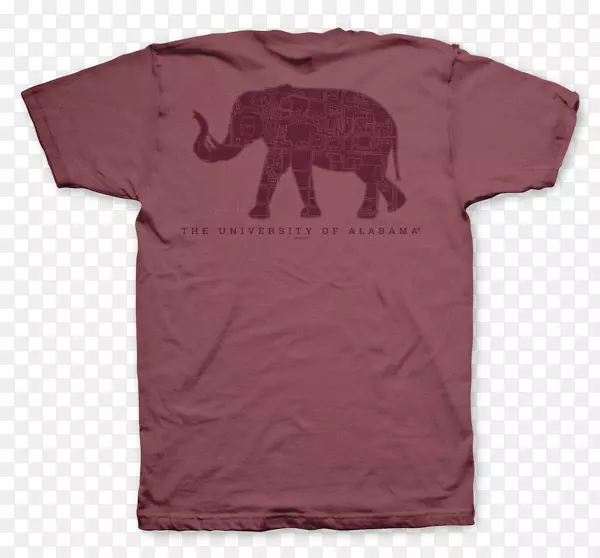 ����������ѧ�쳱�������������쳱����T����-������