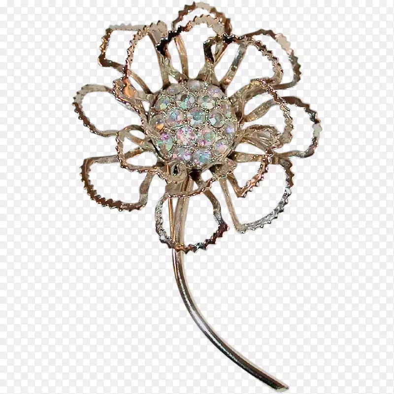 ��������.�鱦-������