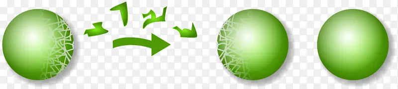 Banach-tarski�����ѧ���߼�-��ѧ-������