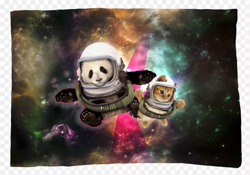 ����t��-������