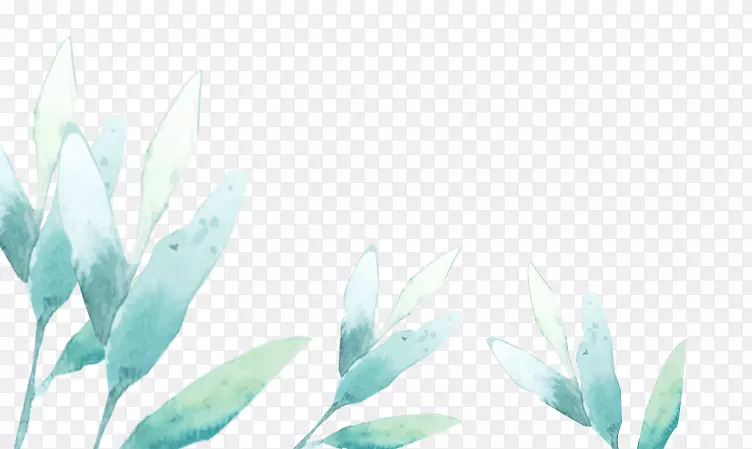 ˮ�ʻ���-ˮ�ʻ�Ҷ-������