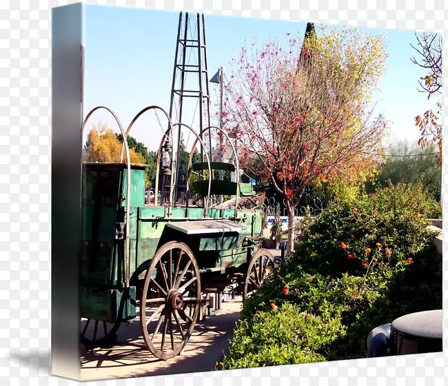 ����-��-������