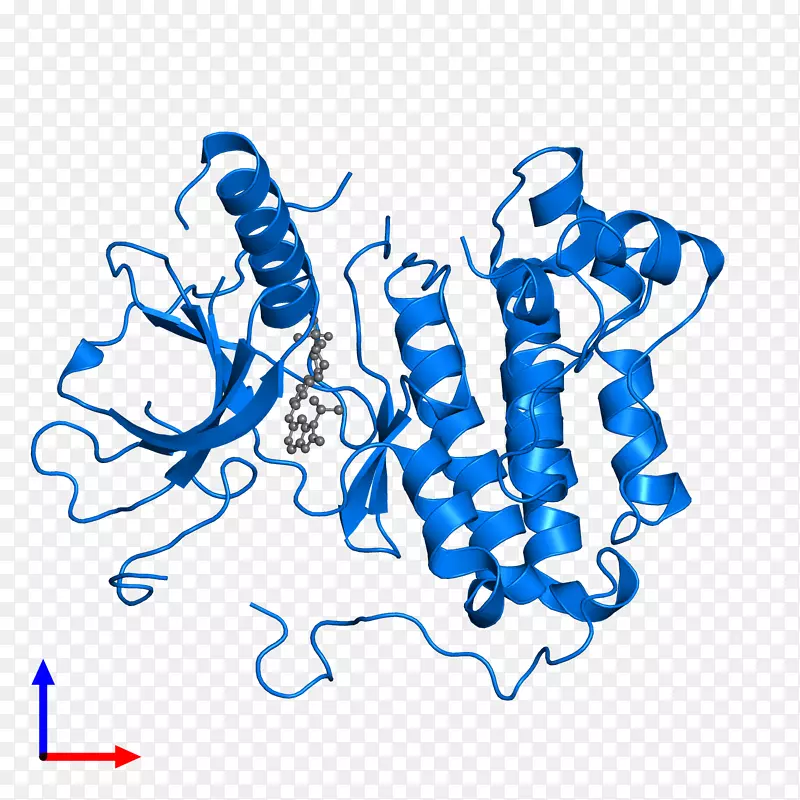 ������Ϊ���л�����������-������