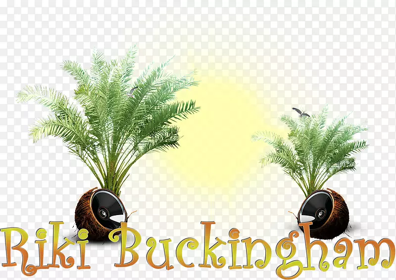 ���ƿ���������ֲ��-������