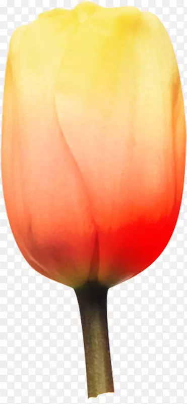 �����㻨�격��-������-������