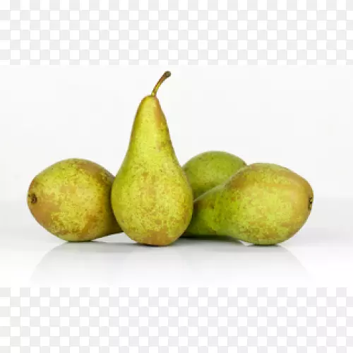 ������ͷ��������͹���-������